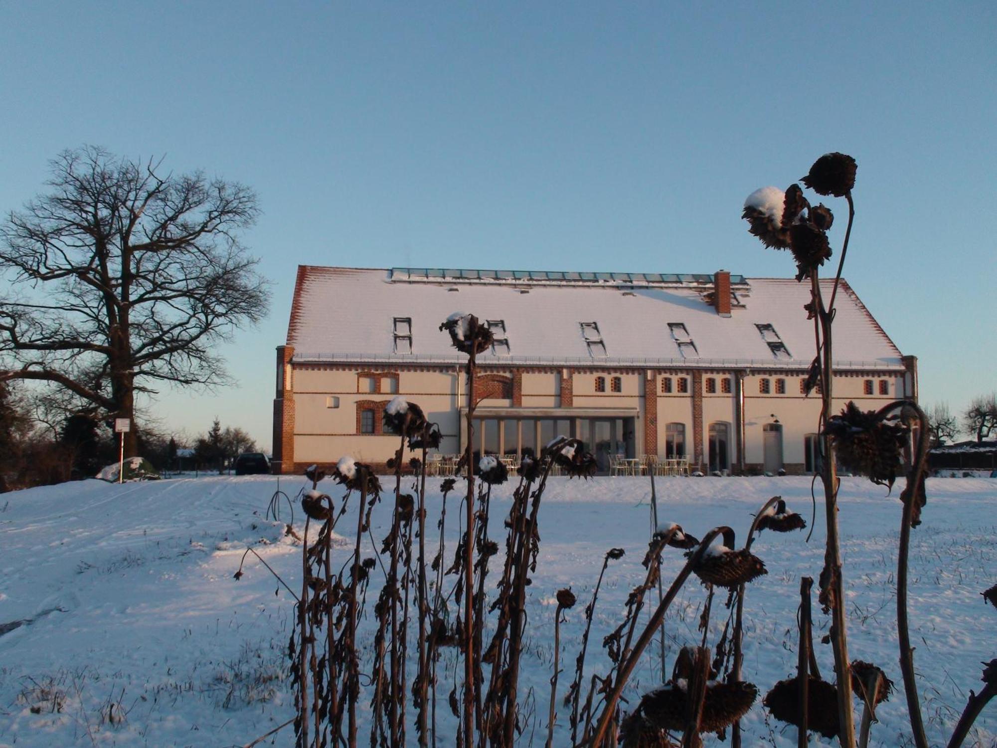 Landhaus Ribbeck المظهر الخارجي الصورة